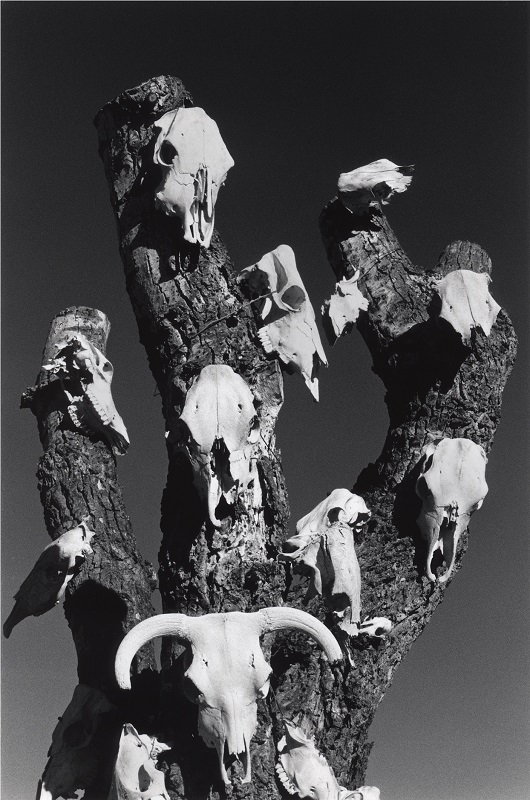 Richard Buswell