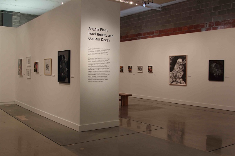 Angie Piehl Installation