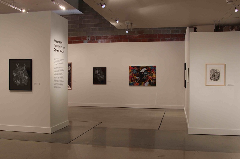 Angie Piehl Installation