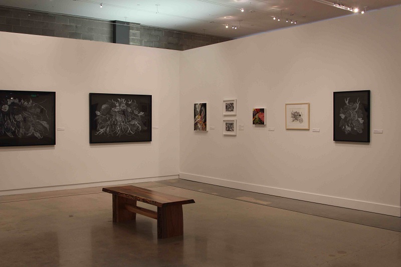 Angie Piehl Installation