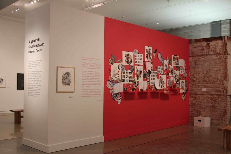 Angie Piehl Installation