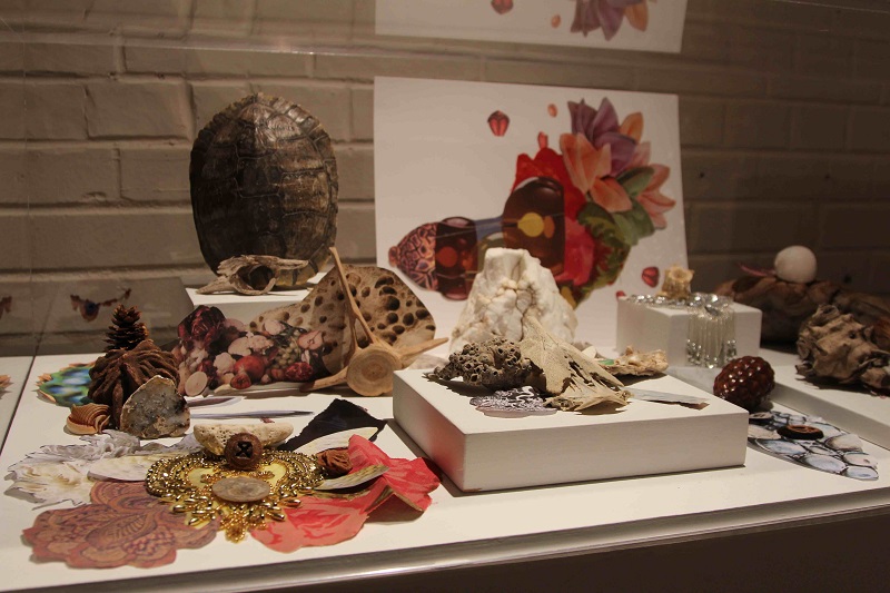 Angie Piehl Installation