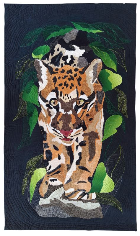 FFFF Corbella Neofelis Nebulosa