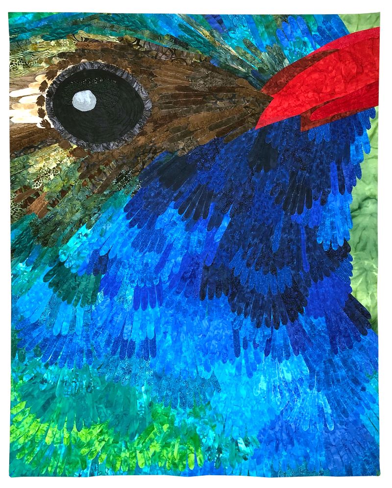 FFFF Haig Broad Billed Hummingbird