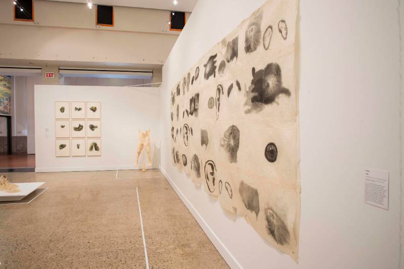 Kiki Smith and Paper: The Body, the Muse, and the Spirit Kiki Smith and Paper: The Body, the Muse, and the Spirit