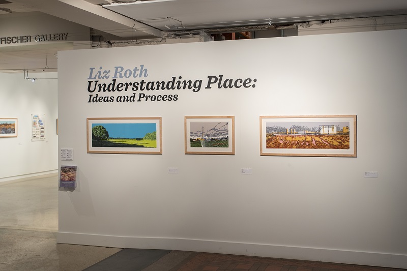 Liz Roth installation
