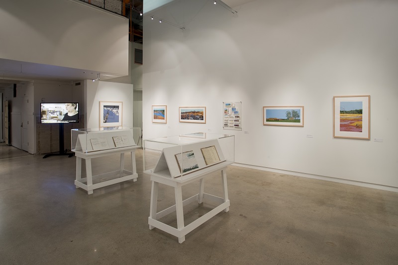 Liz Roth Installation