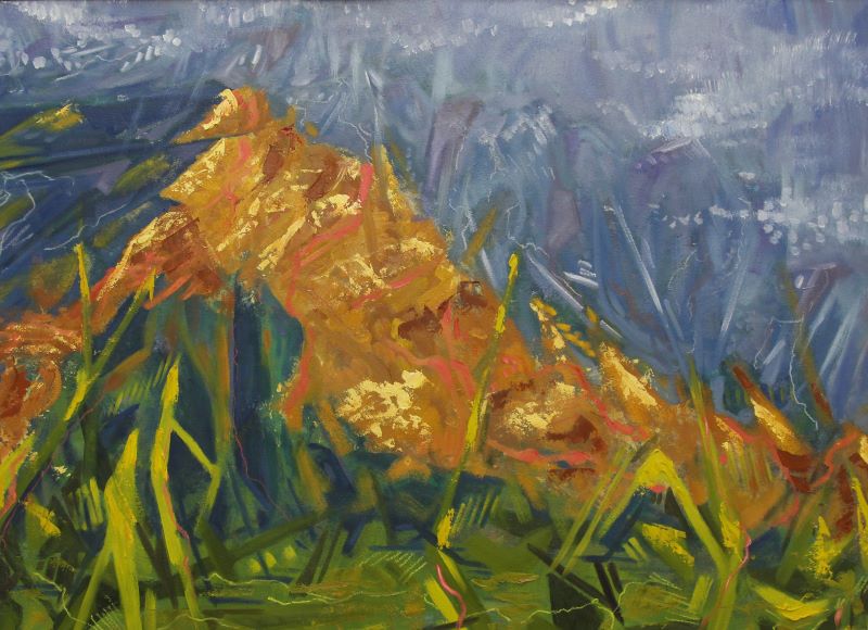 New Echoes Lauren Oyer, Sandia Mountains