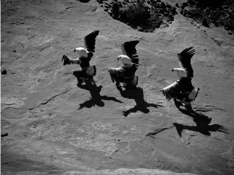 Lee Marmon Lee Marmon