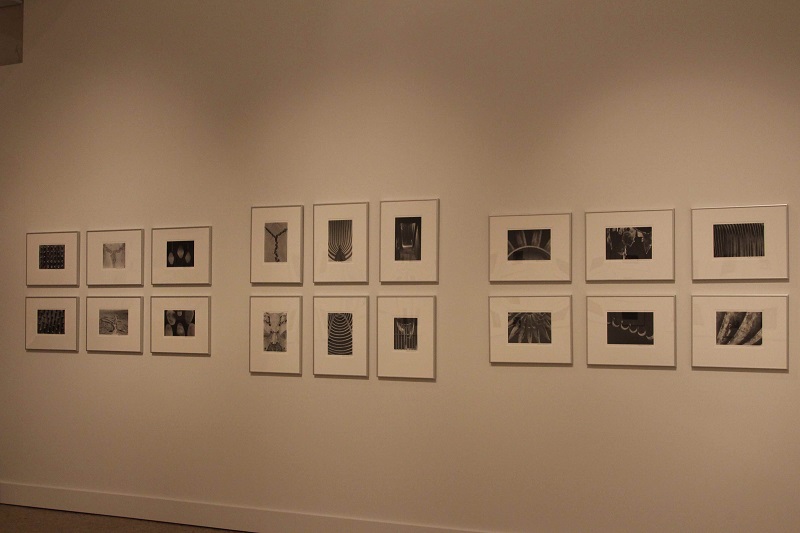 Richard Buswell Installation