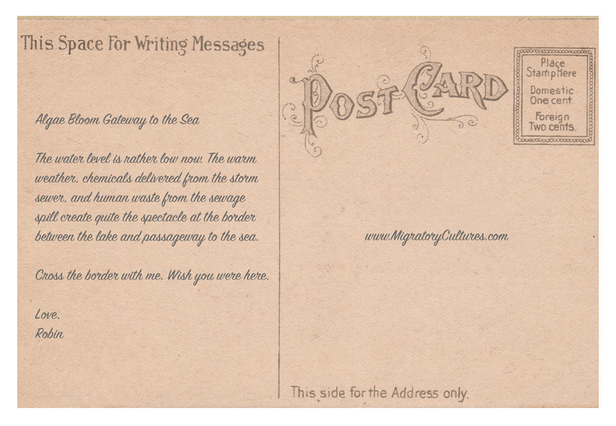 Algaebloom back Algaebloom back