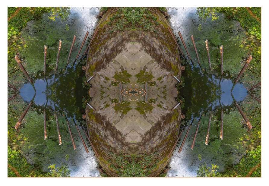 Robin Lasser Robin Lasser