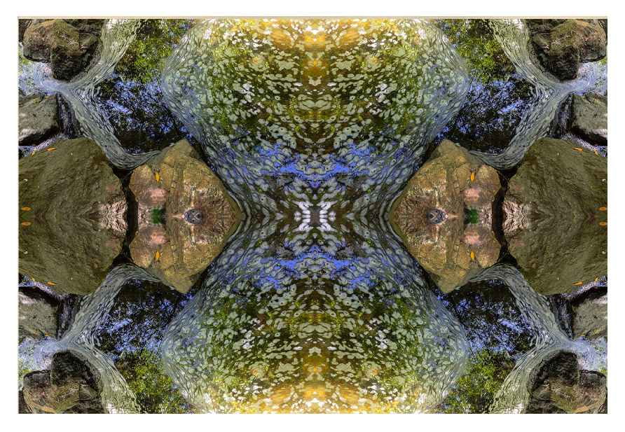 Robin Lasser Robin Lasser