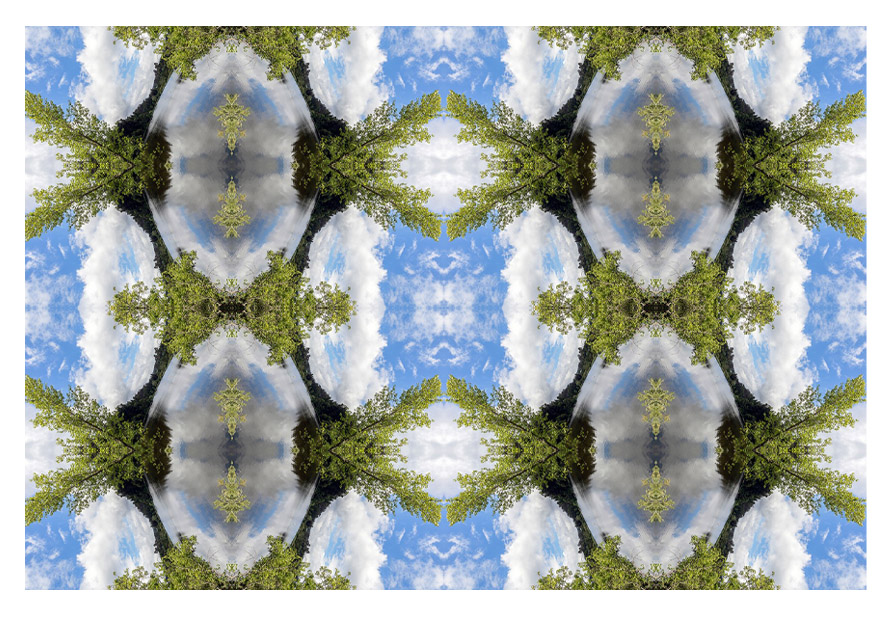 Robin Lasser Robin Lasser