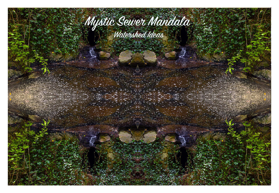 Robin Lasser Robin Lasser