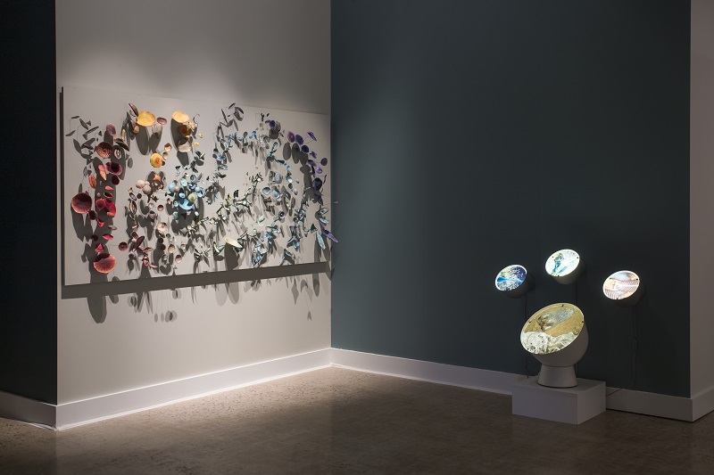 The State We're In Water Installation The State We're In Water Installation